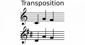 Transposition