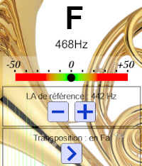F note on tuner display for an F horn