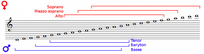 Vocal register