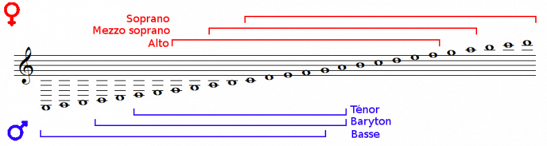 Vocal register