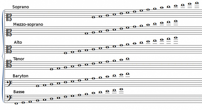 Vocal register
